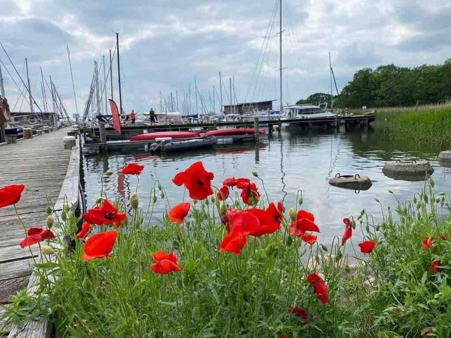 Ferienhaus Mit Wasserblick Auf Der Insel Usedom Krummin 外观 照片